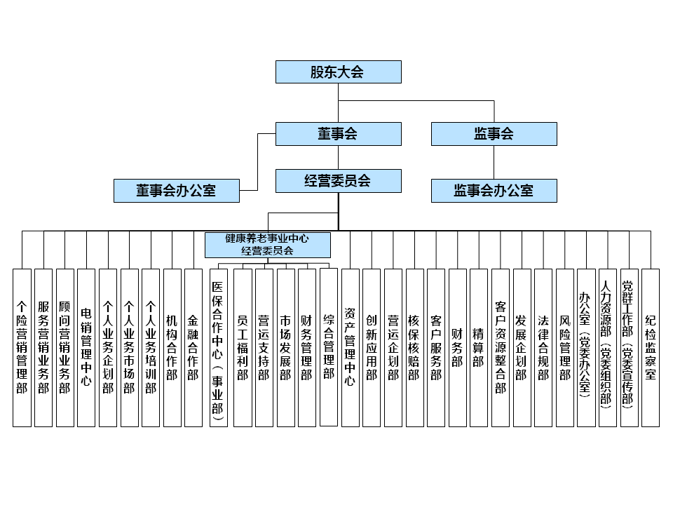 保险公司晋升架构图图片